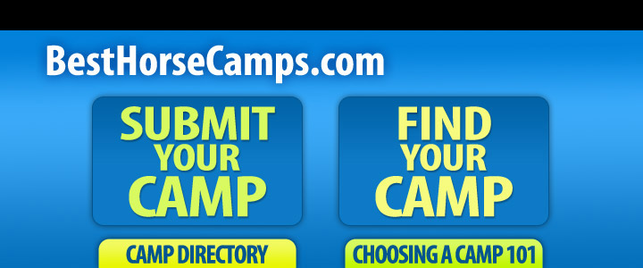 The Best Horse Summer Camps | Summer 2024 Directory of  Summer Horse Camps